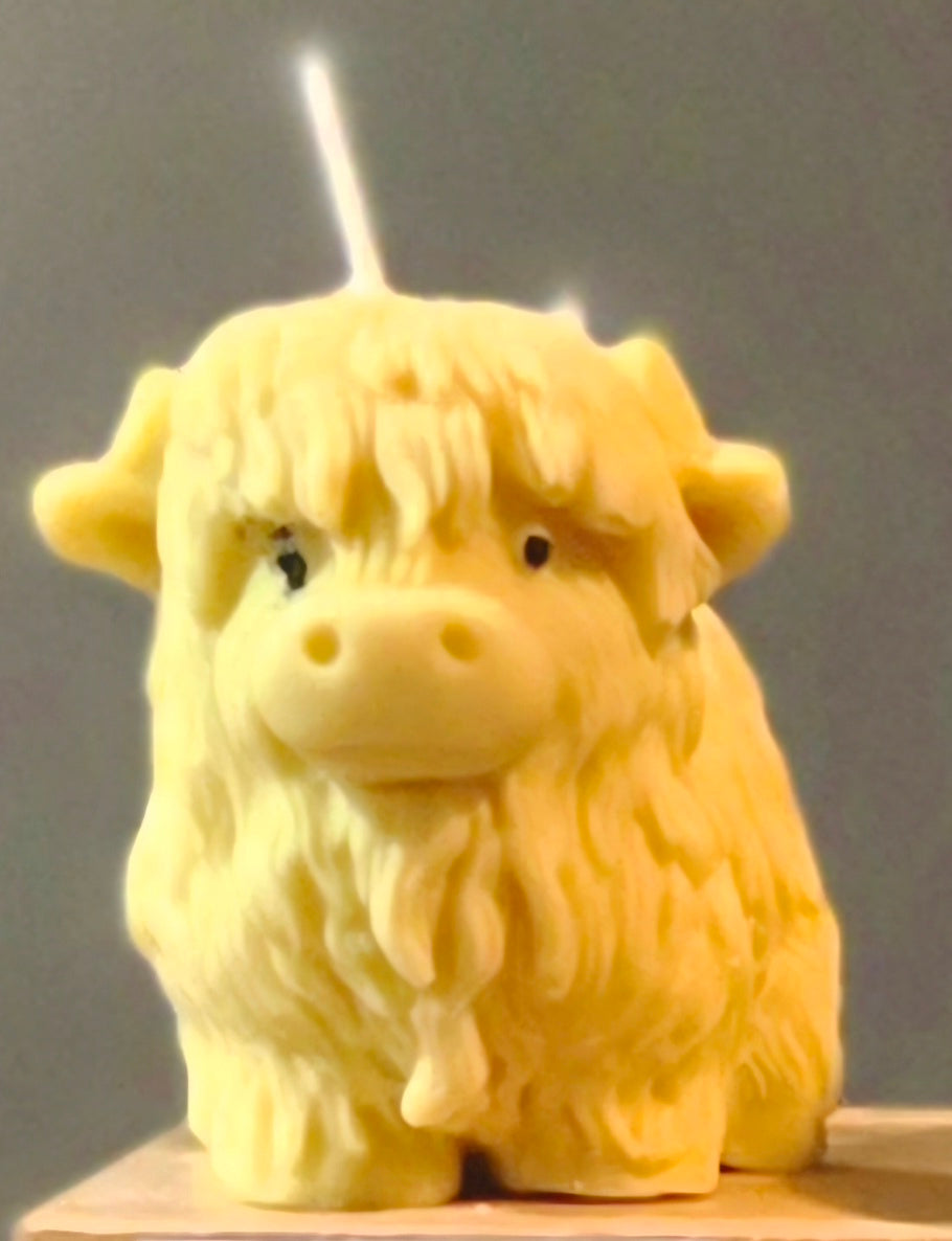 Mini Cow