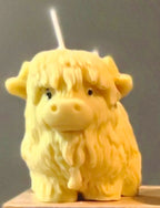 Mini Cow