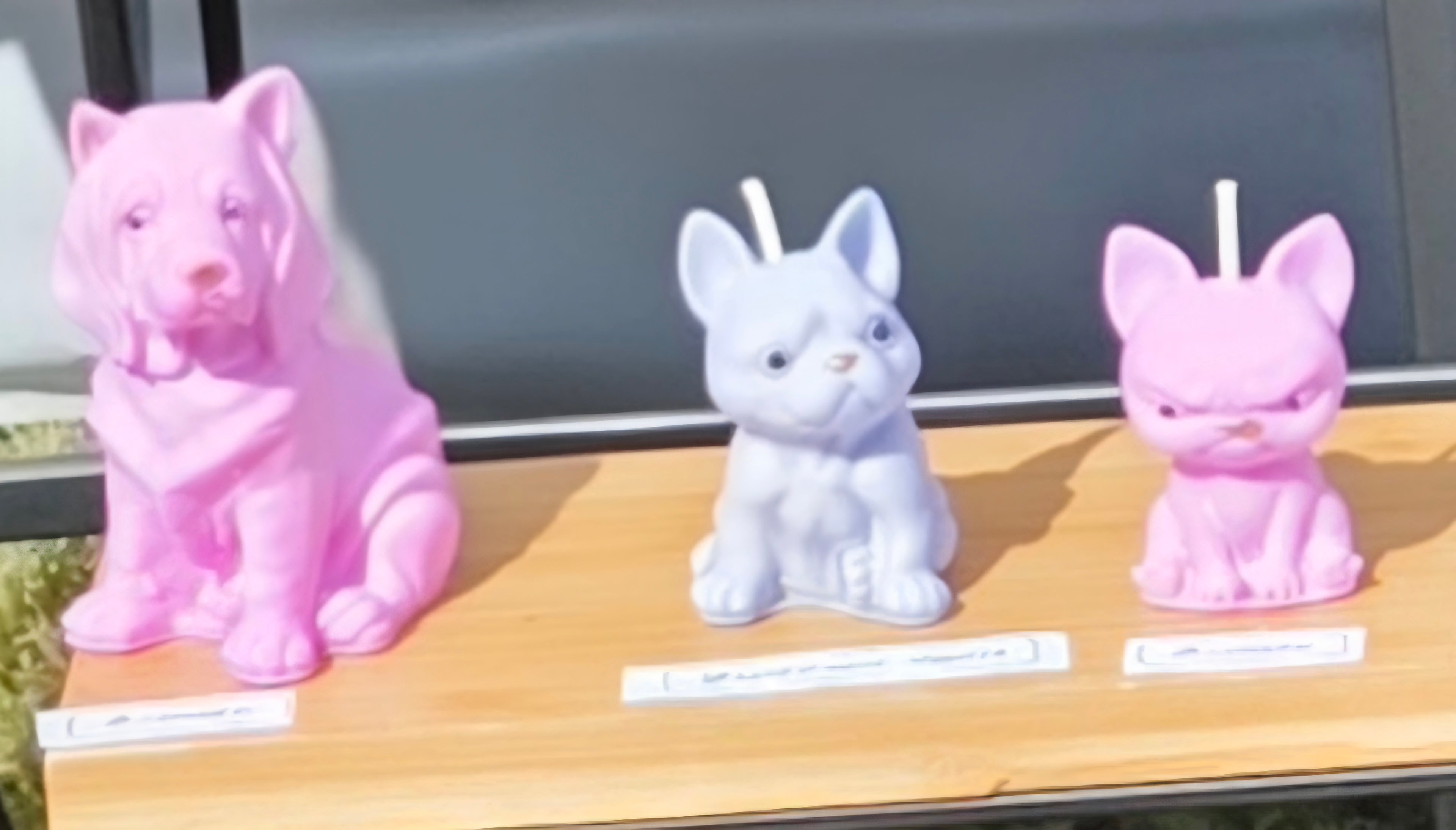 Petite Assorted Dog Candles